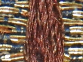 12lDSCN5415